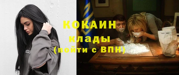 прущий лед Алзамай