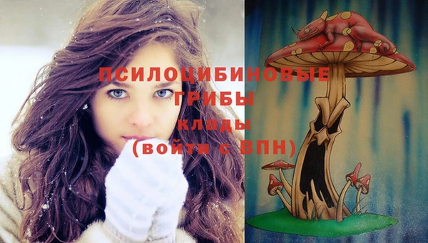дурь Алексеевка