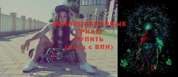 ГАЛЛЮЦИНОГЕННЫЕ ГРИБЫ Алексин