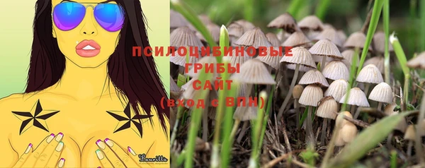 дурь Алексеевка