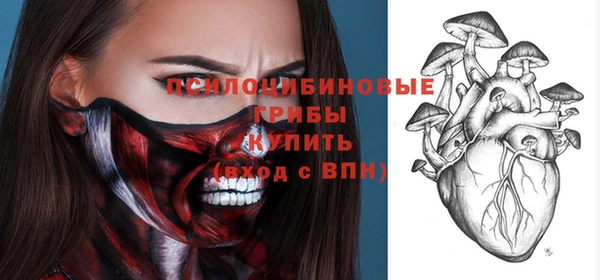дурь Алексеевка