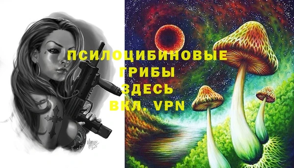 дурь Алексеевка